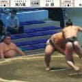 ひぇー！ “体重2倍”差対決で「背骨折れそう」力士の上体が90度に…“ひやり”の場面に館内どよめき