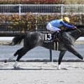 【東海S見どころ】連勝街道まっしぐらのドラゴンテイラー