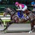 【盛岡・マーキュリーC】岩手競馬に夏本番を告げるダートグレード競走 中央＆地方から好メンバー集う