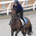 【関屋記念・角田の特注馬】舞台設定はベストのシリウスコルト　週末に雨が降れば重賞２勝目のチャンスだ