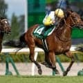 関屋記念勝ち時計ランキング 昨年コースレコードがとび出す