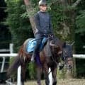 【東海Ｓ・理貴の特注馬】ダノンフィーゴがＪＲＡ重賞初制覇へ　中京は１勝、２着１回とオール連対