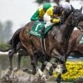 【東海S想定騎手】ドンインザムードは荻野極騎手、ダノンフィーゴは川田将雅騎手