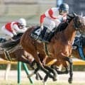 【関屋記念想定騎手】ダノンセンチュリーは戸崎圭太騎手、アンパドゥは岩田望来騎手