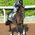 【札幌日経賞・松ケ下の特注馬】良血ミラージュナイトの成長力に期待　高い洋芝適性も心強い
