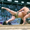 幕下の三田が無傷の５連勝　軍配差し違えの勝利に「足が残っていたので勝ったと思った」