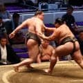 旭富士の連勝を25で止めたのは生田目「応援のおかげ」　体調不良の二子山親方に朗報届けた