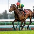 【先週のJRA抹消馬】23年ニュージーランドT覇者エエヤン、ダート重賞2勝のヤマニンウルスなど