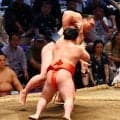 新十両の嵐富士が勝ち越し「昨日のことは忘れた」勇み足で初黒星から切り替え　１敗キープ