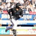 【ロッテ】藤原恭大の先頭打者弾で先制　ソフトバンク大関の直球を右翼「ホームランラグーン」へ