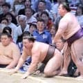 綱取りの霧島が手痛い２敗目　物言いも軍配変わらず伏兵・美ノ海に苦杯