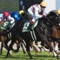 C.ルメール騎手が新潟重賞初制覇 ディープ産駒の良血が制した19年関屋記念を回想