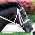 【マーキュリーＣ】武豊騎手騎乗のギュルヴィは３着　鞍上は１９年以来の２勝目逃す