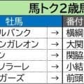 【馬トク２歳馬番付】意外な牝馬が能力指数で異例の数値を算出！　牡馬は好調の新種牡馬エフフォーリア産駒に高評価