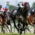 【AI予想・関屋記念】前走で重賞に出走していた馬に良績が集中！ 条件替わりで一変に期待できそうな人工知能の本命候補
