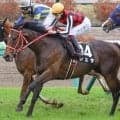 【関屋記念】セレクト3.2億円のジュタ 史上最高額のJRA重賞勝ち馬になるか
