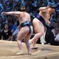 大荒れの９日目…２横綱２大関が総崩れ　大の里は４敗、豊昇龍は３敗目　安青錦ら３人が１敗死守