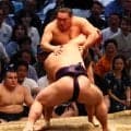 豊昇龍が義ノ富士に寄り切られ３敗目　土俵下で霧島敗戦見た後に結びで痛い黒星