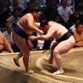 「うれ獅司です」獅司が幕内で自身初の９日目勝ち越し　１敗で優勝争いトップに並ぶ