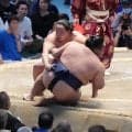 琴栄峰が８連勝で勝ち越し「ホッとしています」１敗トップ並ぶも「何も考えていない」