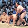 綱取りの大関・霧島が痛恨の２敗目　浅香山審判部長「厳しくなっているのは確か」