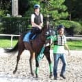 【関屋記念】エルトンバローズが夏のマイル王者へ　しらさぎＳに続く重賞連勝、４勝目を狙う