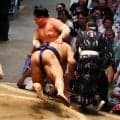 ２人でゴロン！土俵から転落→軍配差し違え「単純な見間違い」困惑の声も…当事者高安の反応は？