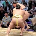 十両・嘉陽が４１歳の玉鷲を送り出して４勝目「小さい時から見ていた人と対戦することができて良かった」