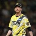 【阪神】８回セベリーノがエンカーナシオンに３ラン被弾も藤川監督「その前に得点を取らなければ」