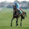 【関屋記念展望】データが後押しする牝馬ドロップオブライトが重賞3勝目を狙う