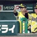 【井川慶氏の眼】阪神は劣勢の展開をいかに逆転勝ちにつなげられるか　大竹は２点台の防御率をたたえたい