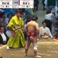 「美人さんがいる」溜まり席に“個性的”な出で立ちで話題 「尊富士と紫コラボ」「姿勢もキレイ」ファン熱視線