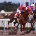 「フクキタル」の翌年は「ワラウカド」 珍名馬が沸かせた98年ウインターSを回想