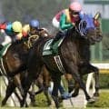 河内洋調教師がSS産駒で重賞初制覇 08年関屋記念をプレイバック