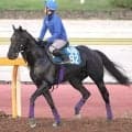 【注目馬動向】兄姉にＧ１馬３頭の良血馬グランヴィノスは９月のチャレンジＣで今年初戦
