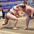 幕下・西御許が４勝目　自己最高位での勝ち越しに「うれしい。名古屋に来てから太った」体重は５キロ増