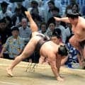 【元大関・琴風の目】霧島は痛すぎる２敗目、「肩の力を抜け」、前のめりにならず自分の相撲を