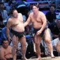 寿之富士が勝ち越し「急に化けた」新十両嵐富士に刺激「優勝決定戦やりたい」同部屋対決へ意欲