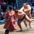 玉鷲が土俵下へ転落も自分より巻き込んだ行司を心配　無事確認し「良かったです」安堵