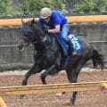 【札幌日経賞】先週小倉記念Ｖの橋田厩舎は良血馬アマキヒがスタンバイ　陣営「勢いに乗れるといいよね（笑）」