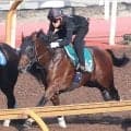 【今週のトク注新馬】ダノンデサイル半弟ダノンチャンピオンが横山武史騎手で２６日中京デビュー　安田調教師「大人びています」