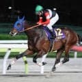【注目馬動向】砂２冠馬のフィンガーは戸崎圭太騎手とのコンビでパシフィッククラシック・米Ｇ１挑戦が決定