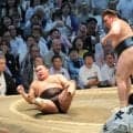 安青錦は１敗を守る９勝目で大関復帰にＭ１　琴栄峰も１敗で首位キープ　豊昇龍は４敗に後退　大の里は６勝目　綱取りの霧島は２敗を堅持