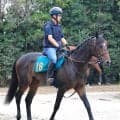 【今週のトク注新馬】リバティアイランドの半弟ダノンダックスが姉と同じ新潟マイルで２６日デビュー　田中博調教師「大きな舞台を目標にできる馬」