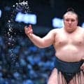 関脇・安青錦、大関復帰に王手！　１敗で首位も守る　左足を痛めながら横綱・豊昇龍破る