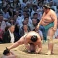カド番の琴桜が５勝目で星を五分に　祖父が横綱同士の対戦で、王鵬に勝つ