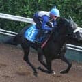 【関屋記念】ブエナオンダは重賞２勝目へ好気配　陣営「１度使っているので、具合はよさそう」