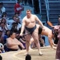 １敗は安青錦＆琴栄峰の２人に…霧島ら５人が２敗で追う展開　横綱豊昇龍は連敗