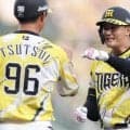 【阪神】移籍後初スタメンの元山飛優が安打＆美技披露　中野拓夢と大学以来の二遊間コンビ