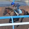 【関屋記念】新潟重賞は好相性のシリウスコルト　田中勝調教師「スムーズに流れに乗れれば」